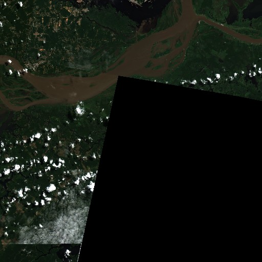 amazon satellite imagery