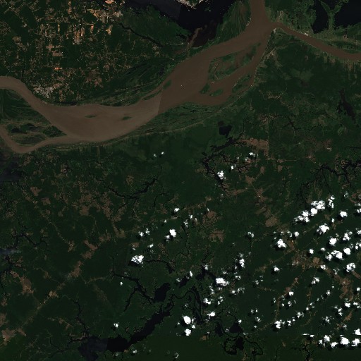 amazon satellite imagery
