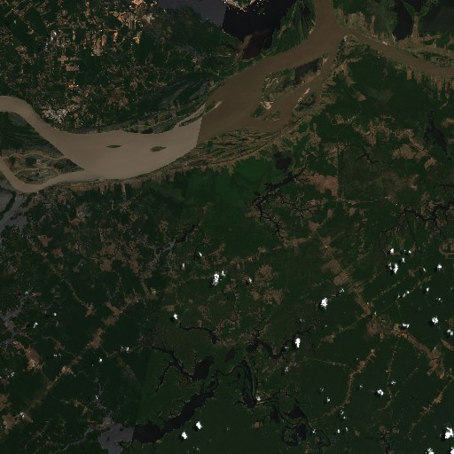 amazon satellite imagery