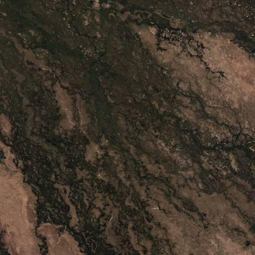 okavango satellite imagery