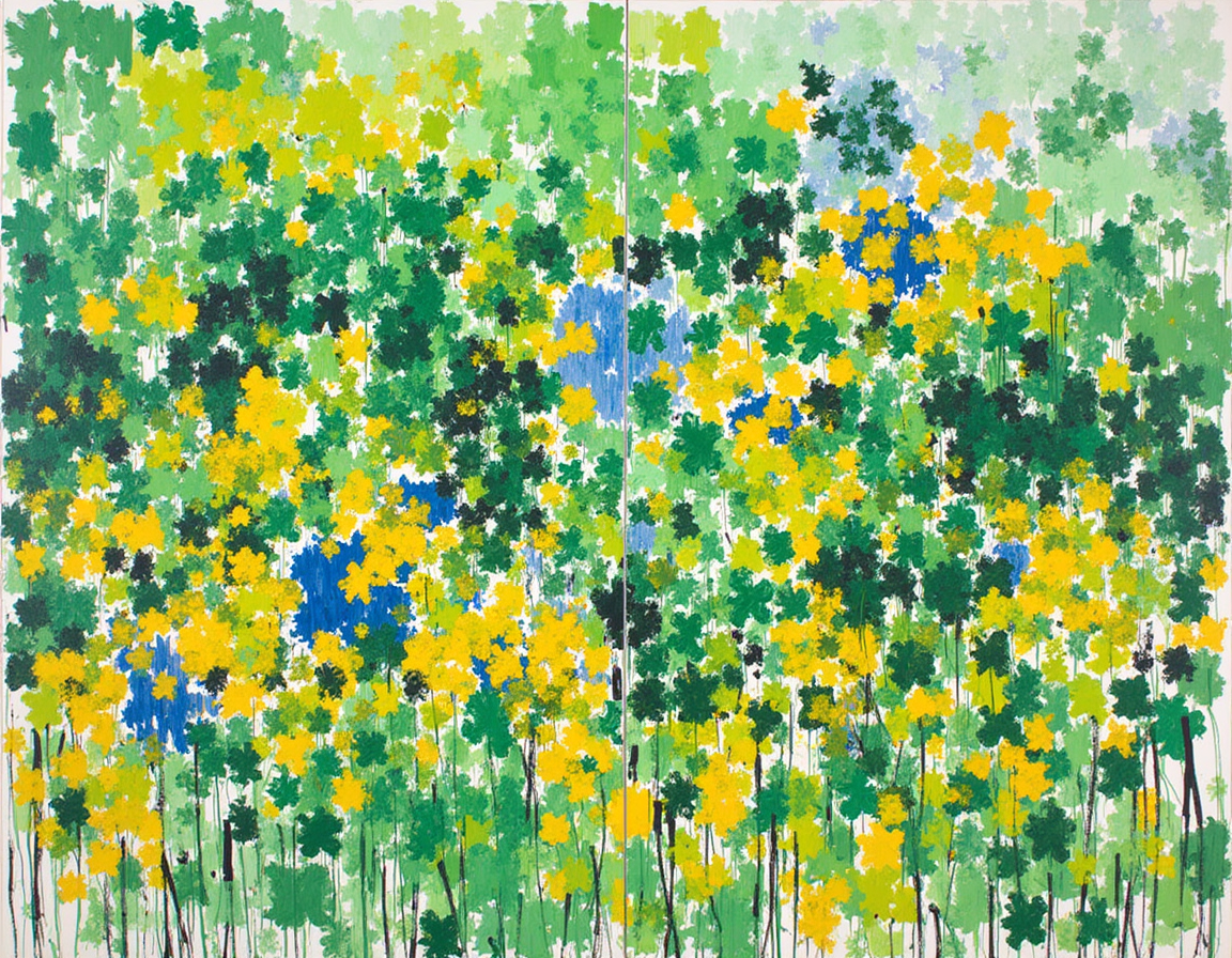 tropical-south-america-15s-70w (Joan Mitchell)